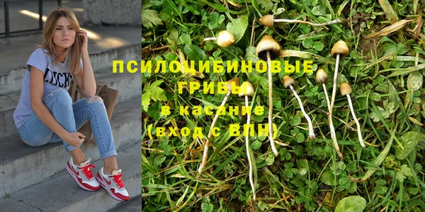 амф Алзамай