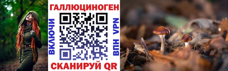Галлюциногенные грибы Psilocybe  Нижнеудинск 